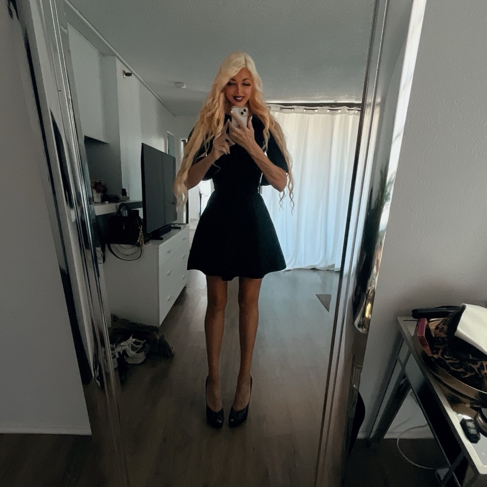 Ted Baker Black Fit and Flare Mini Dress - Picture 4 of 12